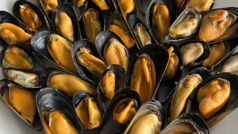 JEANNOTMOULES