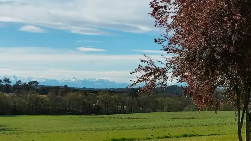 Jardin vue Dubourg