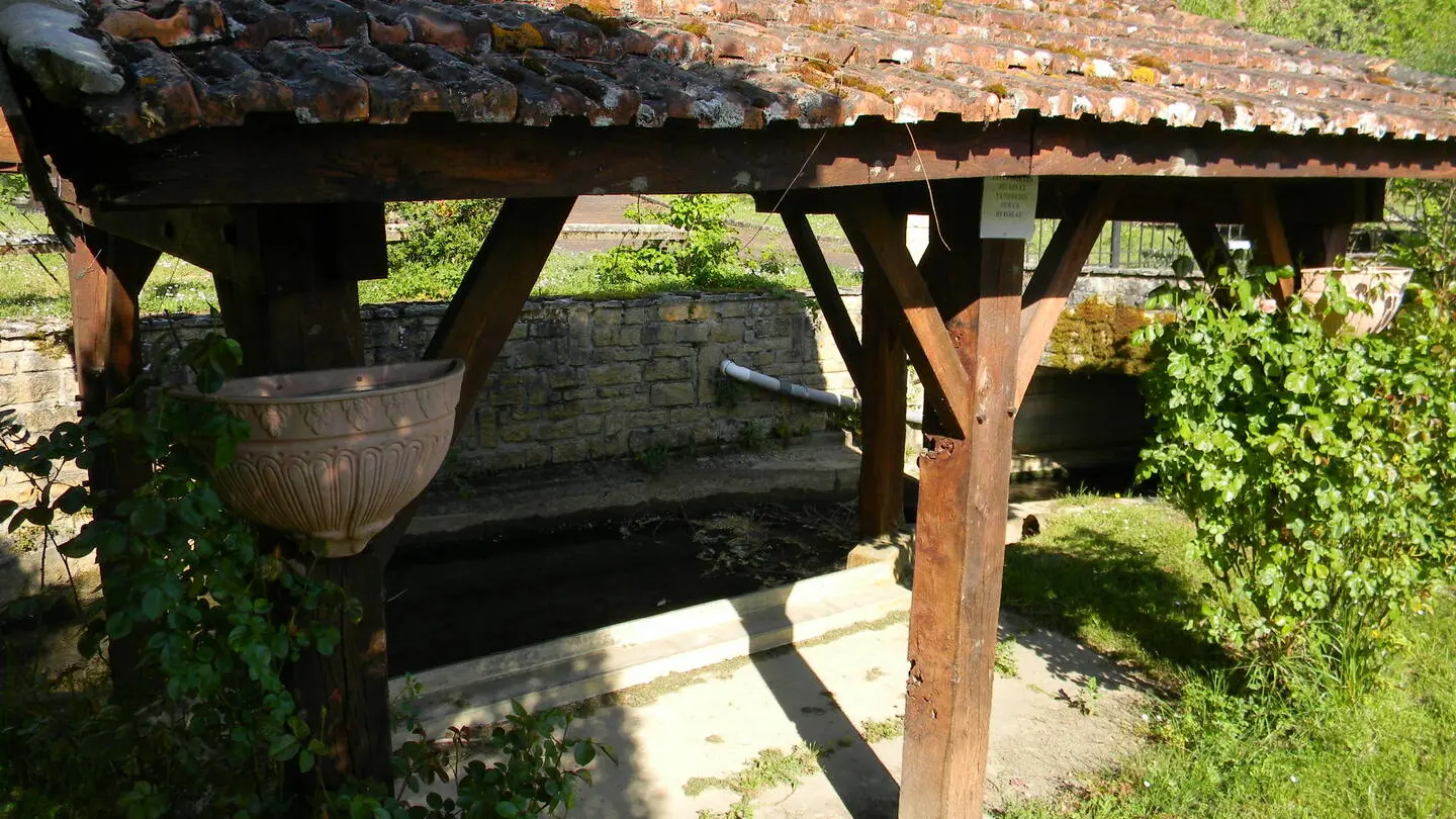 Journiac (2)
