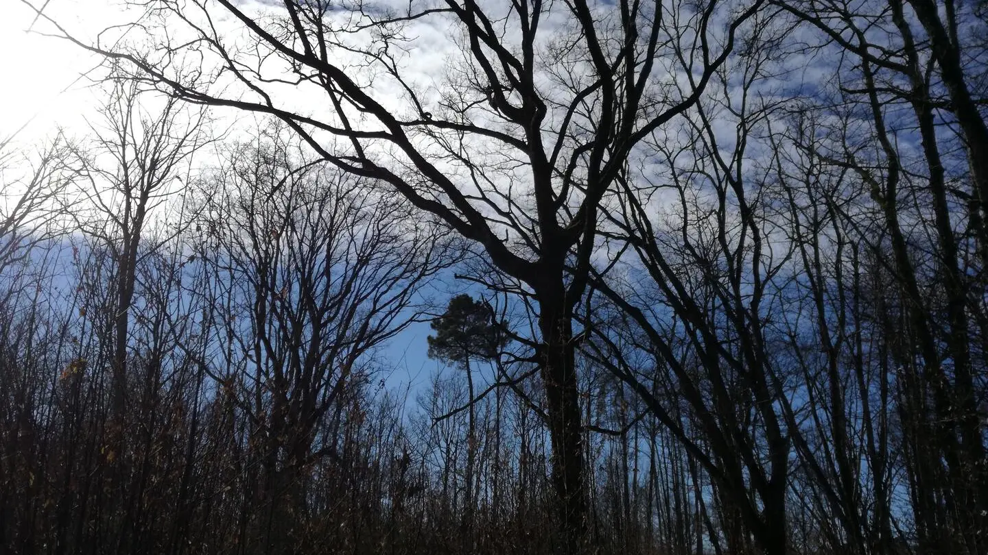 Journiac-Pechorel-06022020 (14)