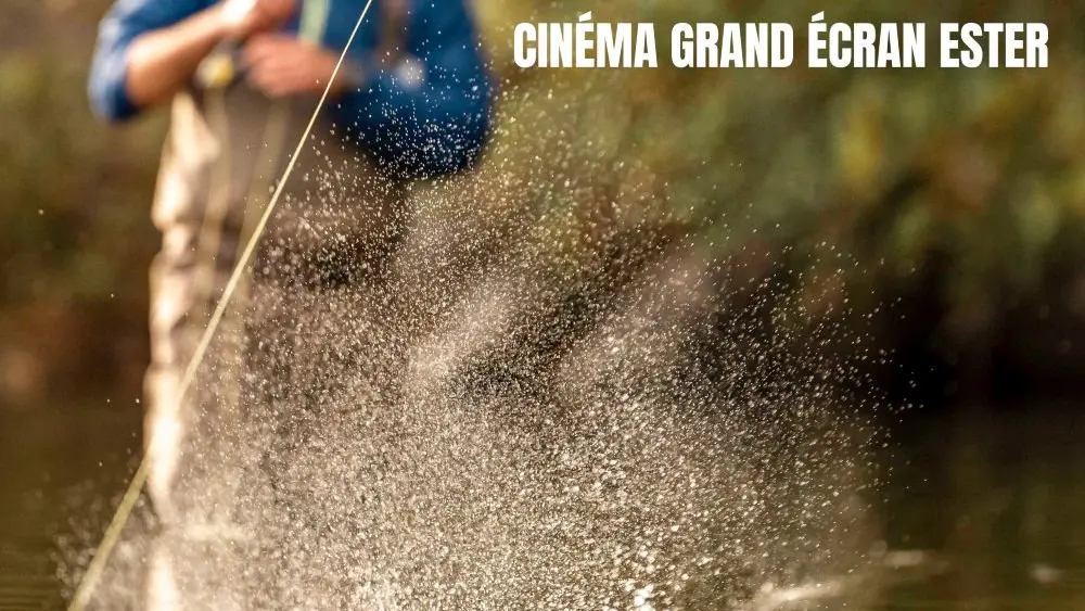 LIMOGES Affiche Rise 2026