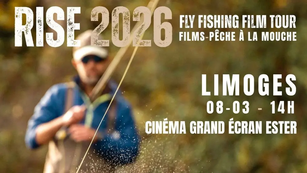 LIMOGES Affiche Rise 2026