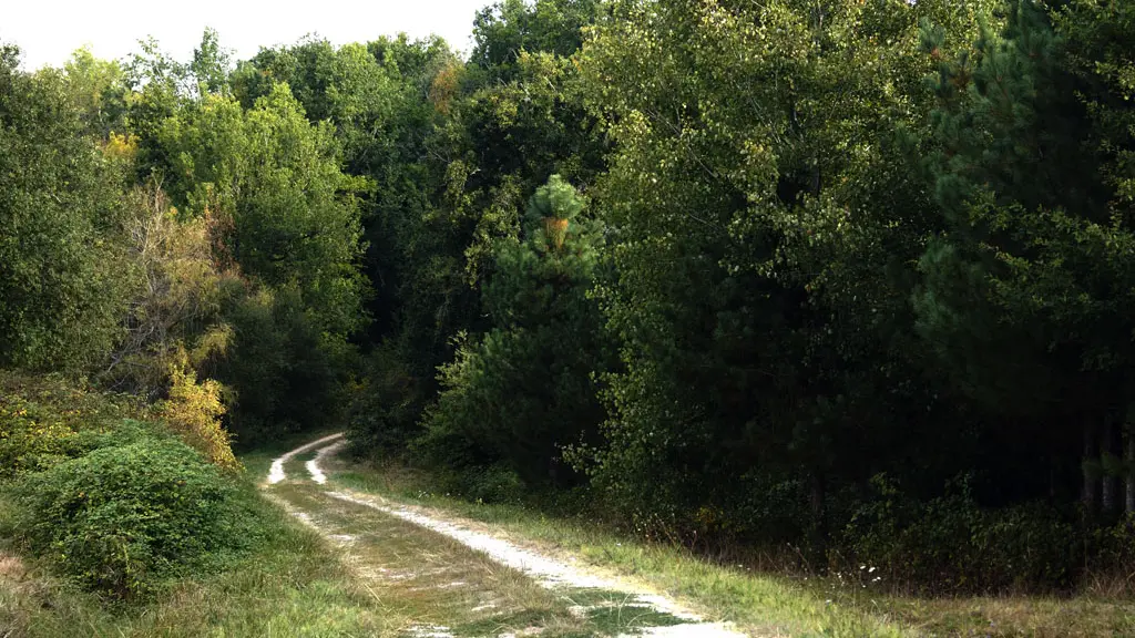 LUNAS__Marie_Grasseau_OTBSD__15_