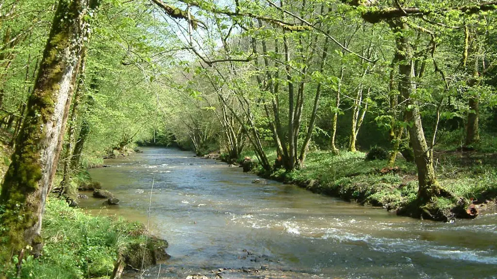 La Combade en aval du Pont de Masléon une rivière pour la pêche aux salmonidés en Haute-Vienne
