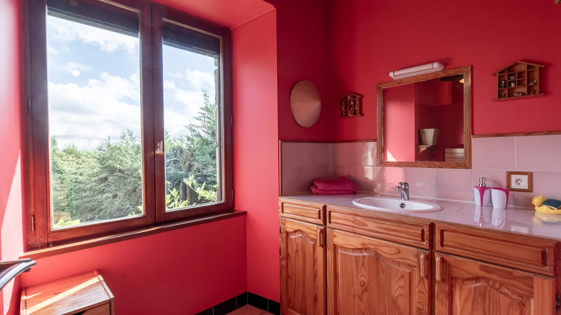 salle de bains chats