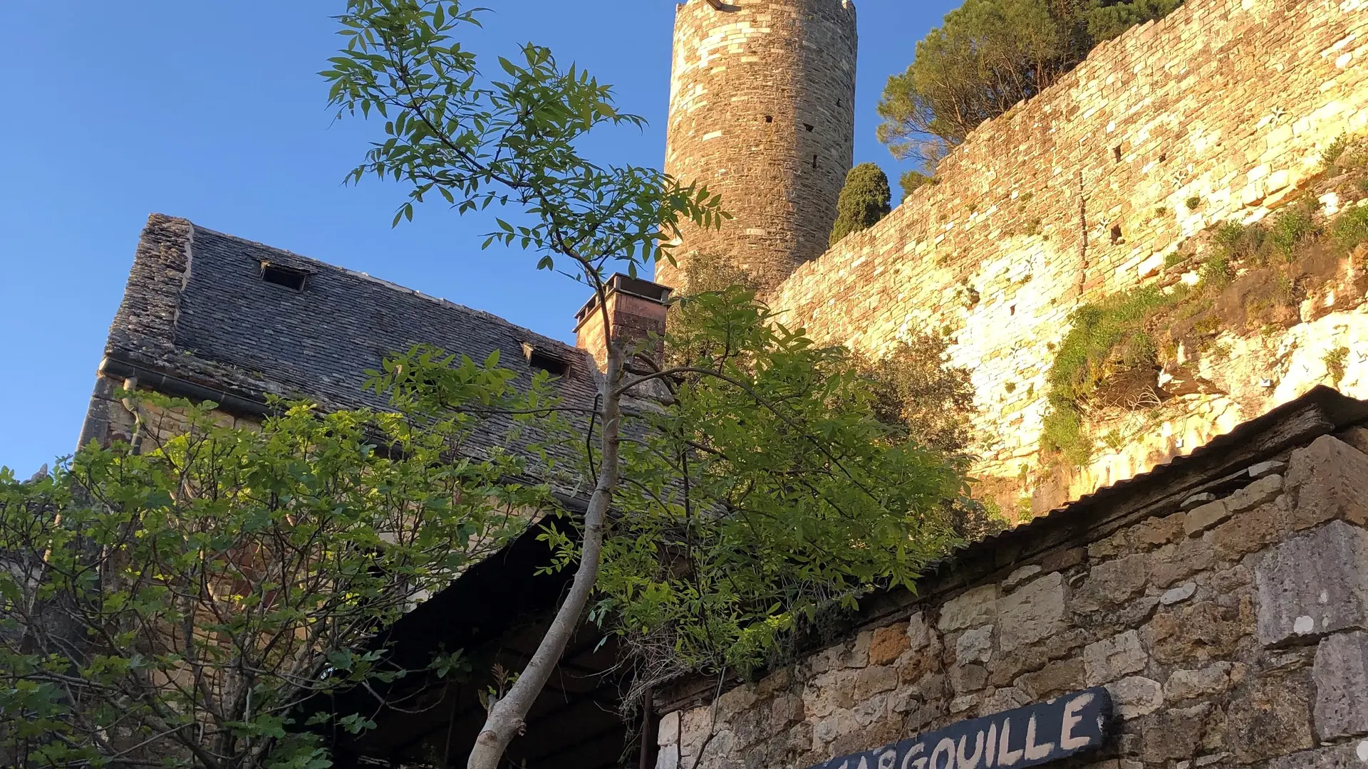 La Gargouille de Turenne ext