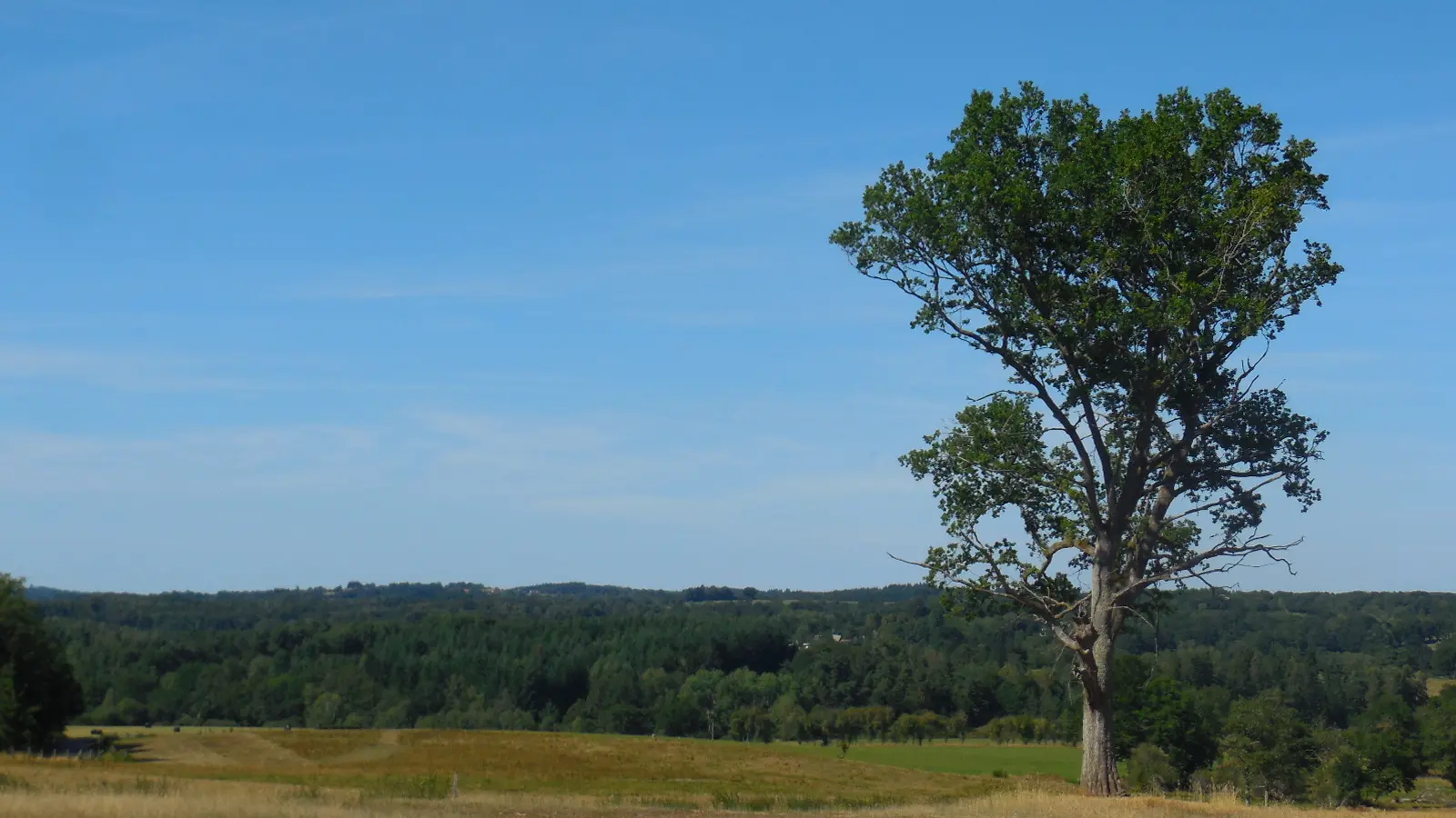 La_Prade_Arbre_Paysage