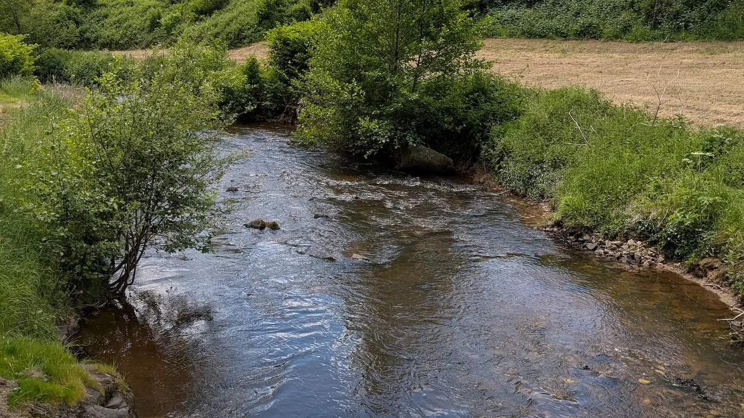 La Vienne