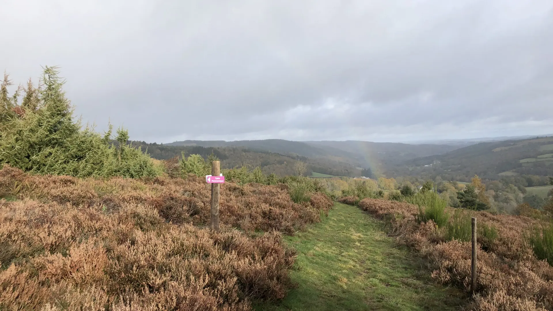 Lande du Puy Raynaud - Clairavaux