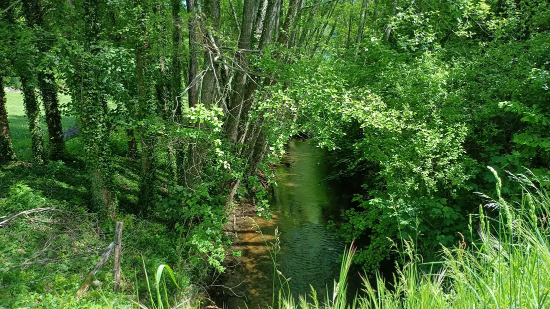 Le Caudeau au niveau du Chateau de Montastruc (3)