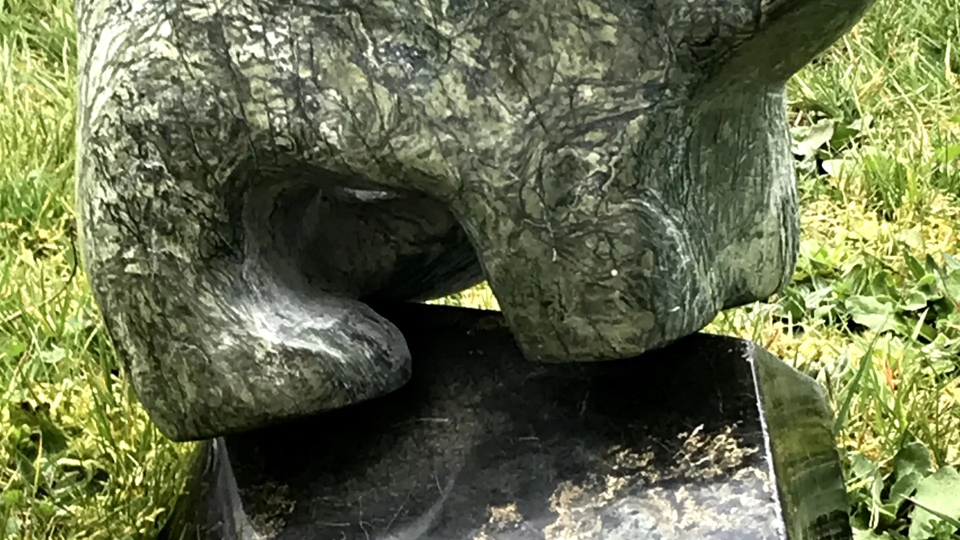 Le Grizzli des landes