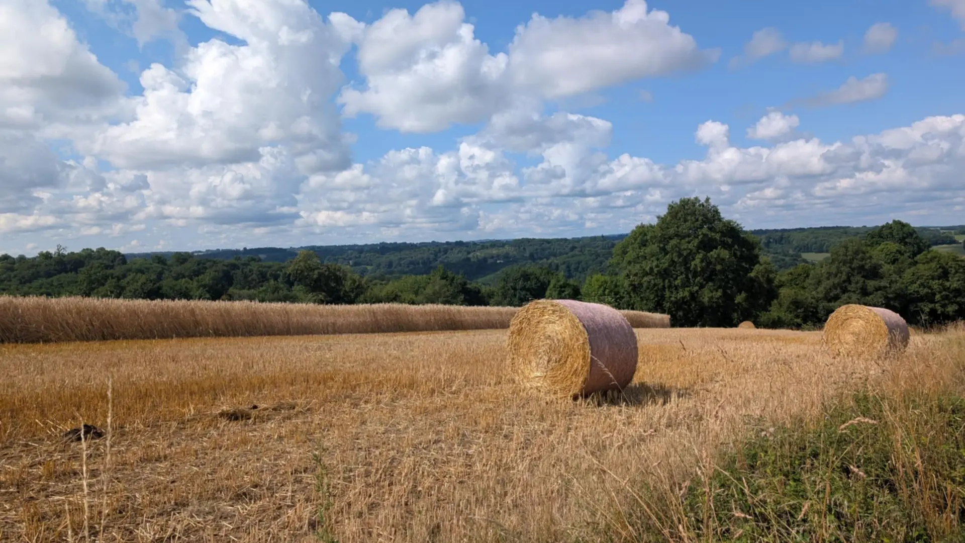 Le Theillaumas 1
