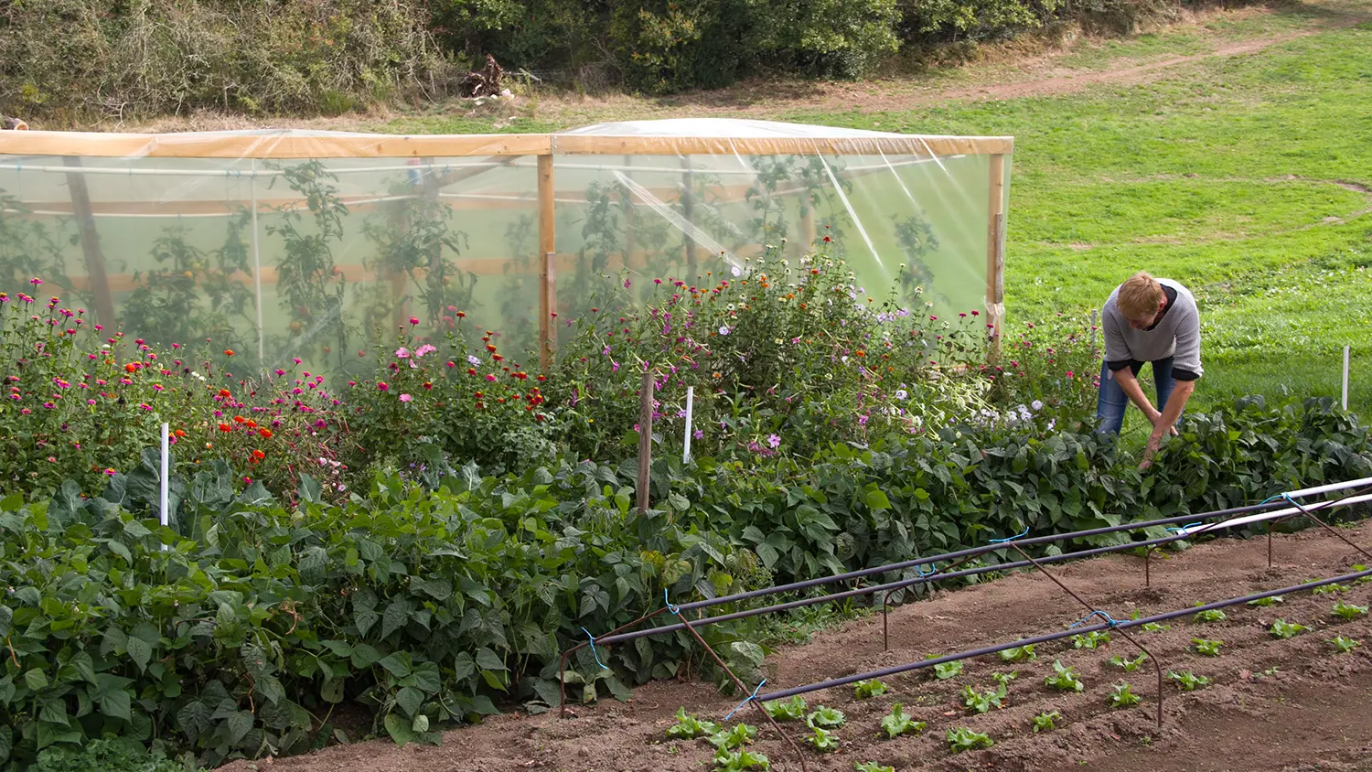 Le moulin à légumes (2)