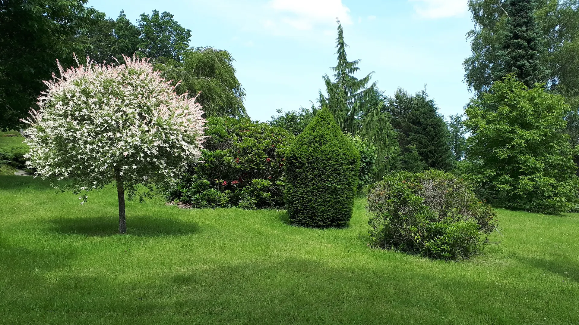 Le parc fleuri au printemps