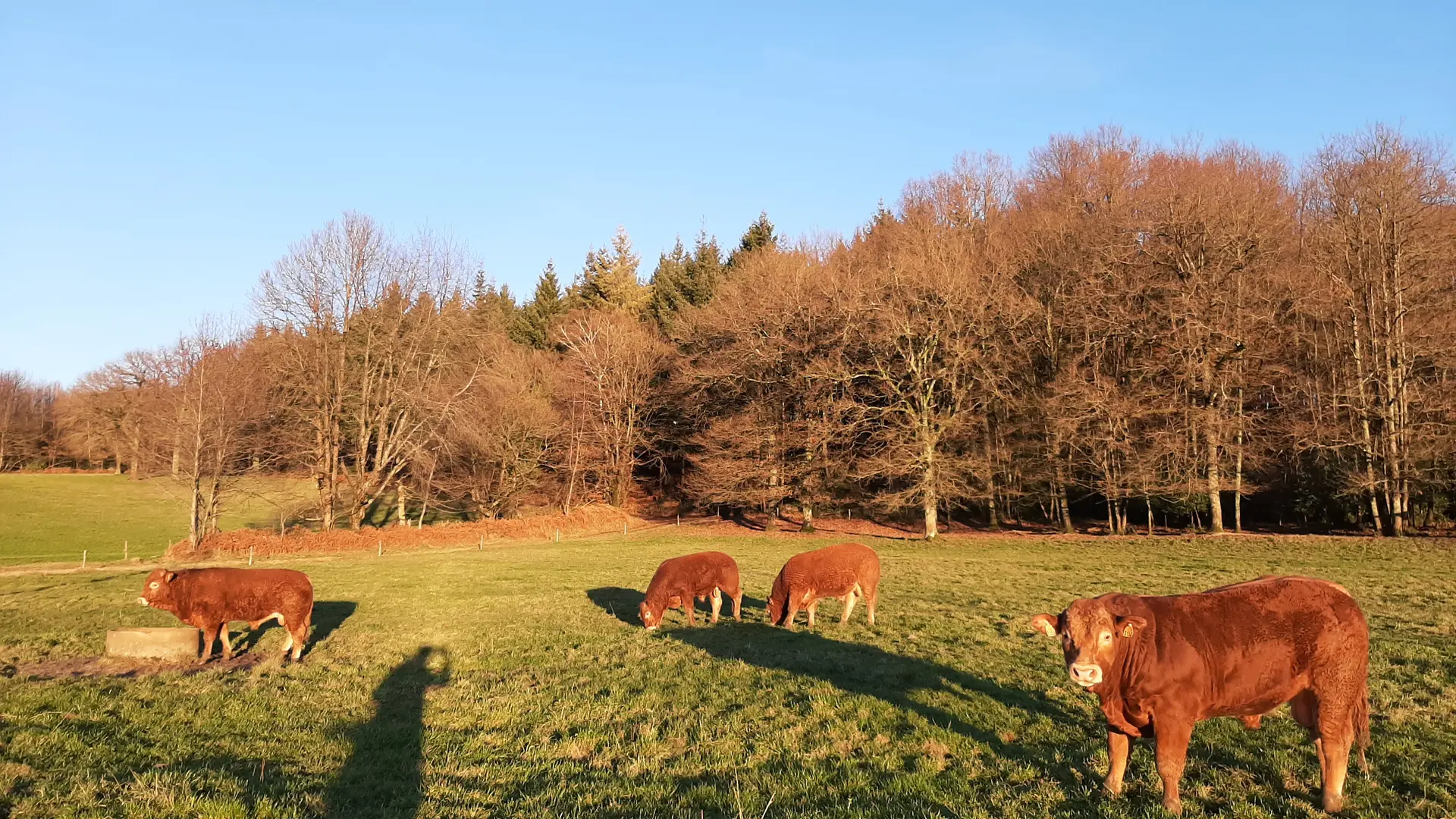 Les Chemins de la Coquette de Meilhards - Meilhards © A.Blanchet -Office de tourisme terres de corrèze (11)