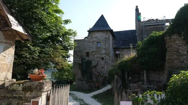 Les colombes