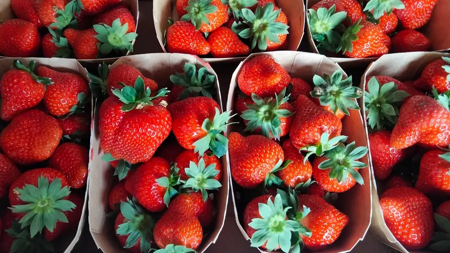 Les fraises