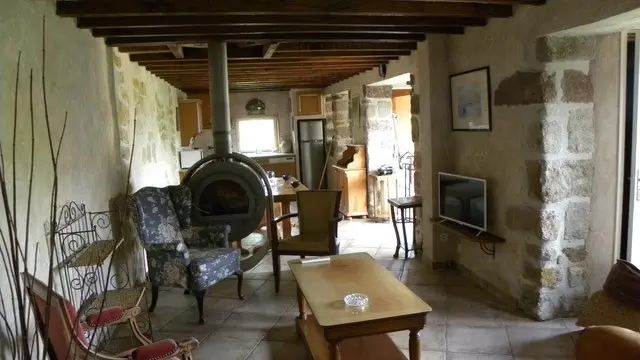 Les hirondelles4