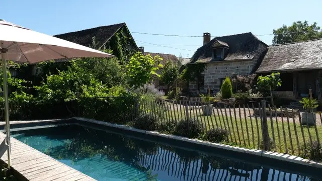 Les hirondelles3