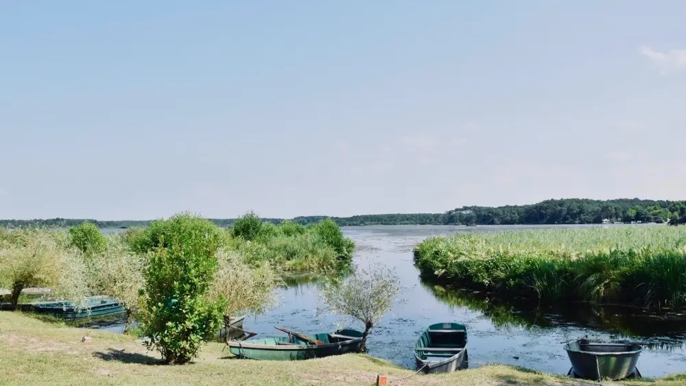 Les Roseaux 2019