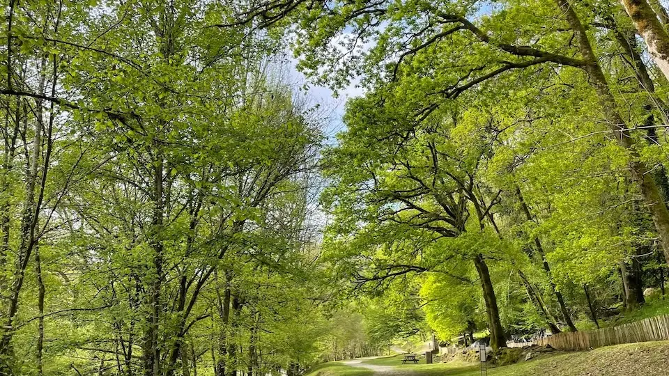 Ligoure à Châlucet copie