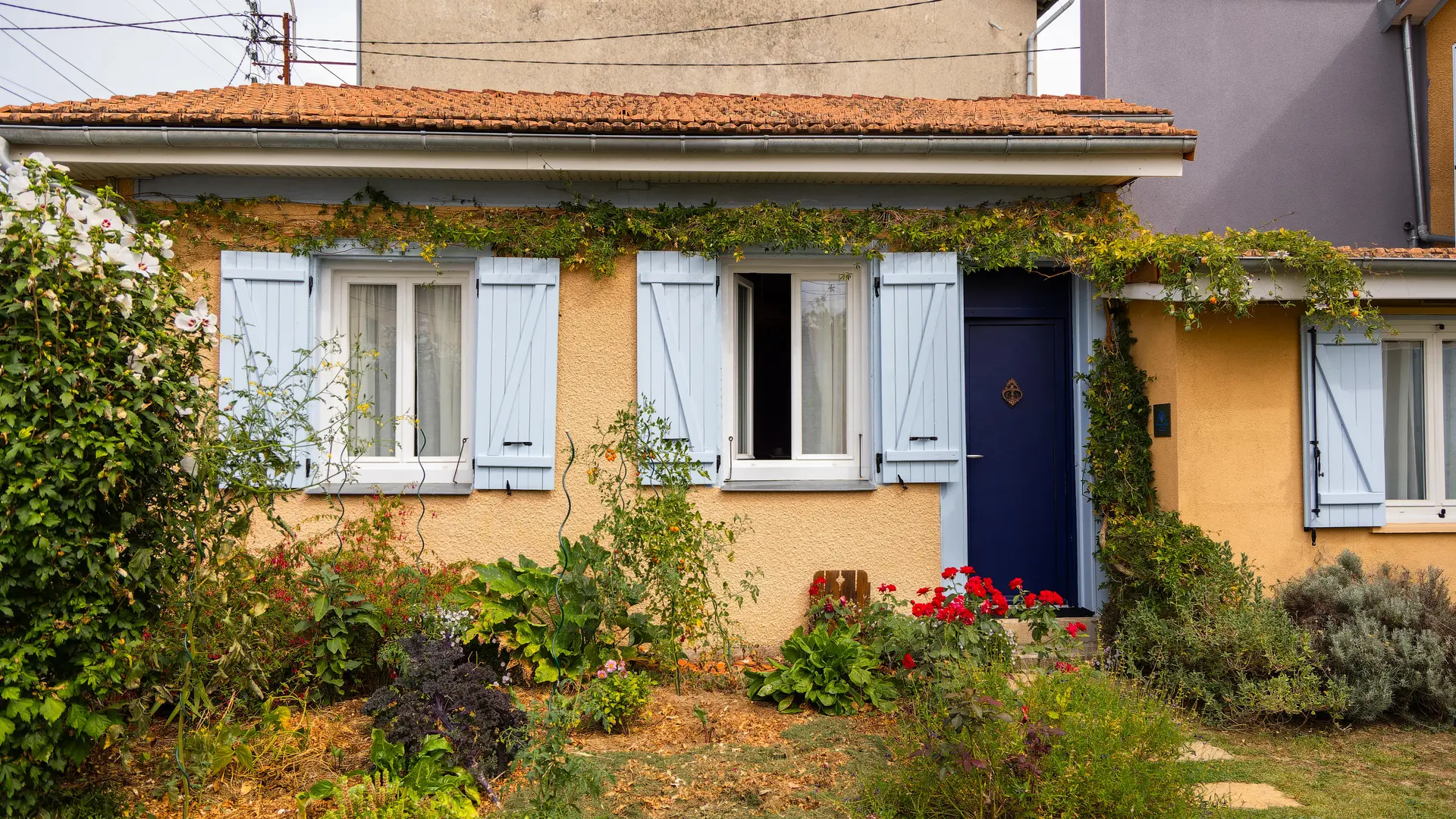 Maison l'éphémère - Chambre d'hote -11 -
