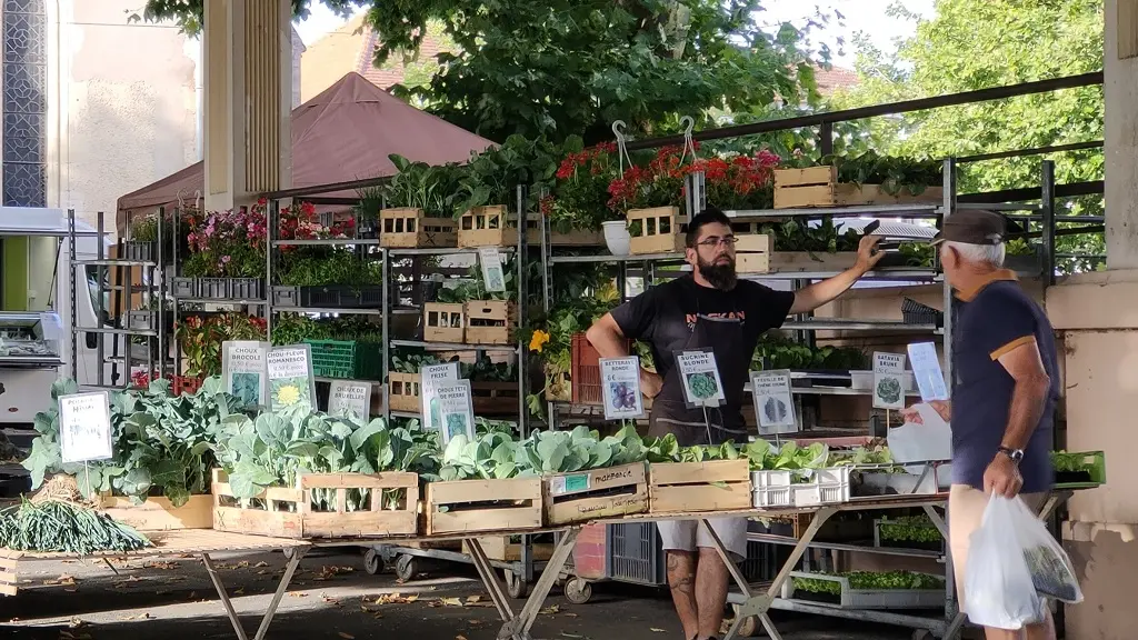 Marché Mugron jeudi - plants fleurs