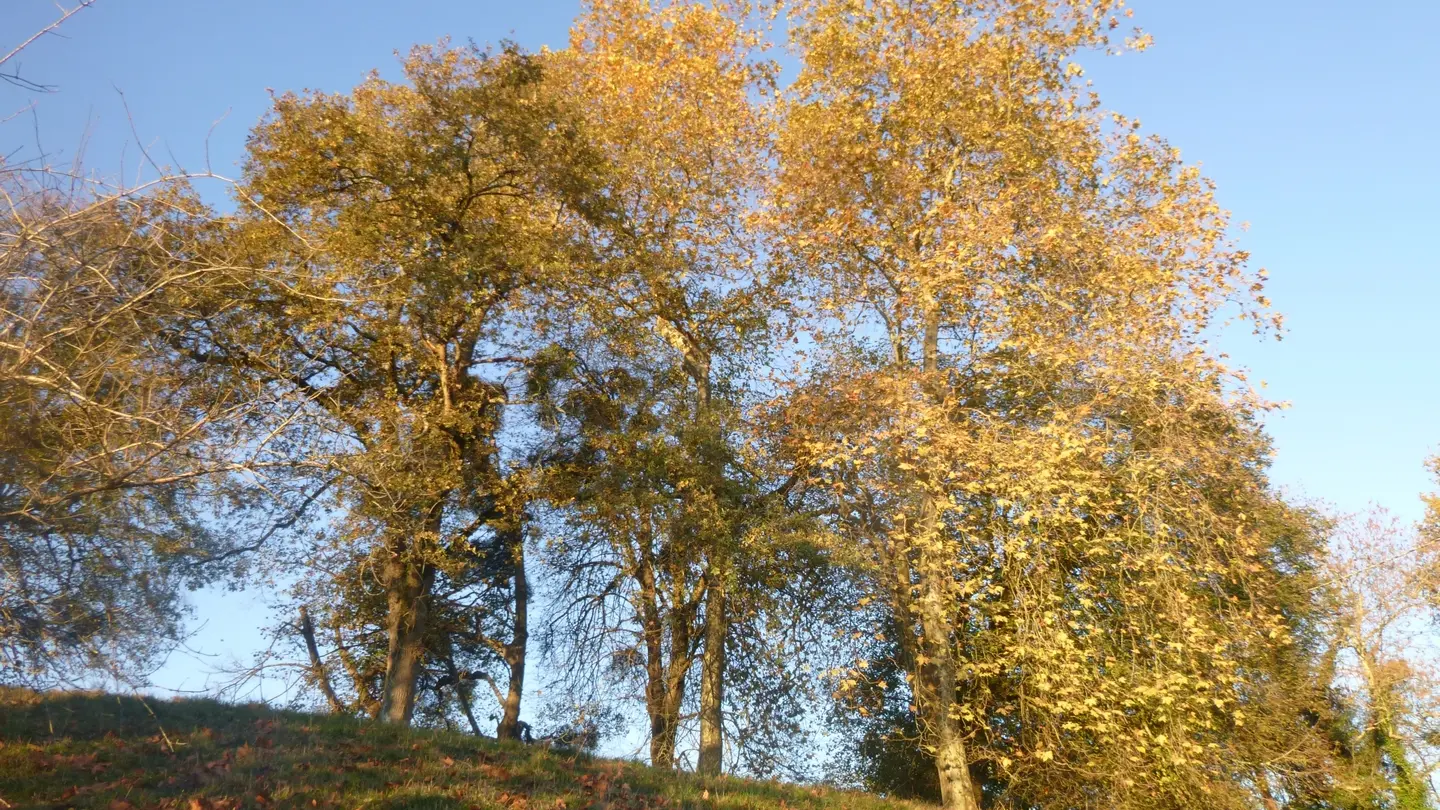 Yourte verte - Laroin - la colline