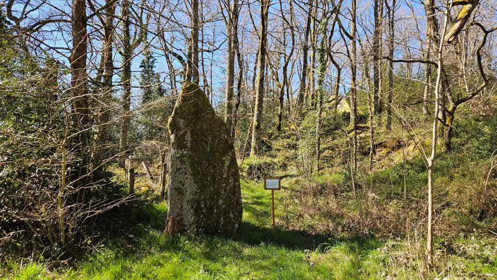 Menhir du Theil 5 - Sirtaqui