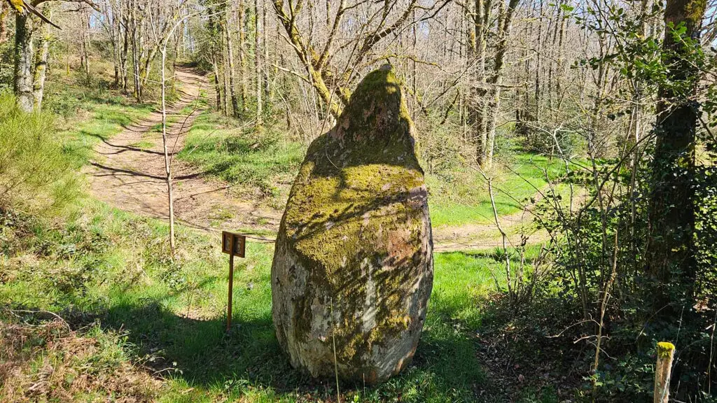 Menhir du Theil 8 - Sirtaqui