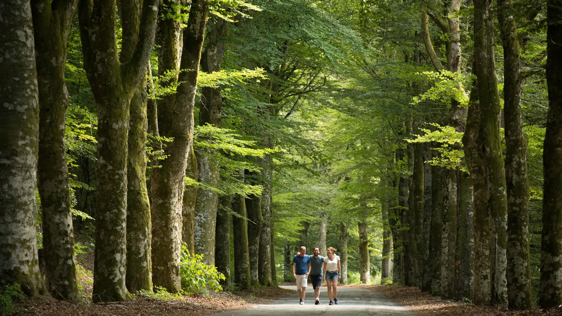 Meymac-route-des-he^tres-©M