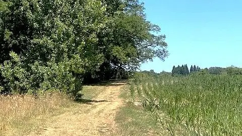 Milhac d'auberoche-Boucle de leygalie-Chemin