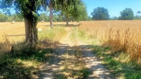 Milhac d'auberoche-Boucle des sangliers-Chemin