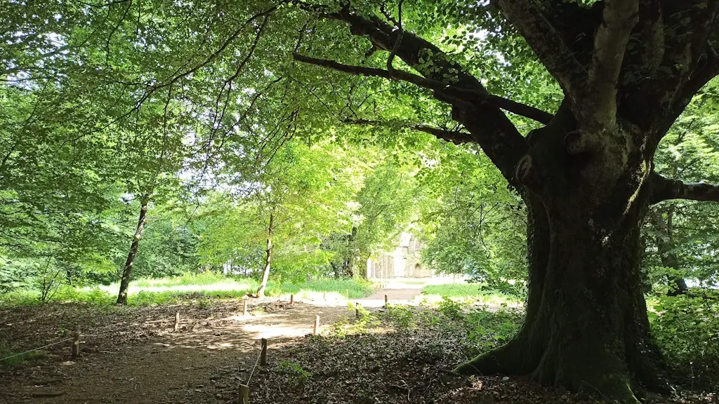 Mont Gargan 2024-06 après travaux Département