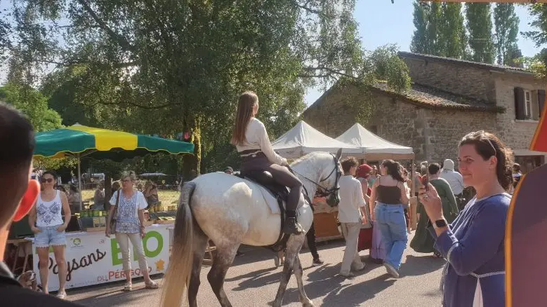 Mortemart médievales