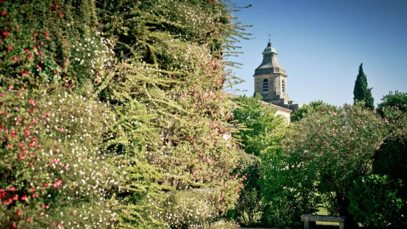Mur-vegetal-et-eglise-TaylorYandell-800-X-600