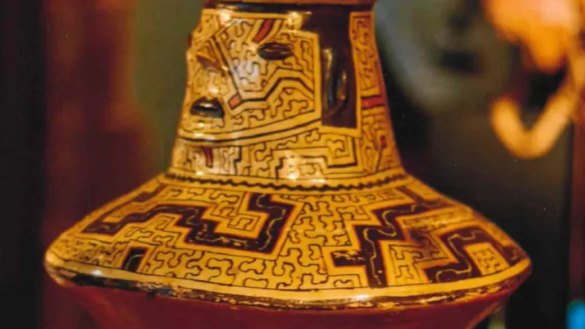 Musée des cultures du monde