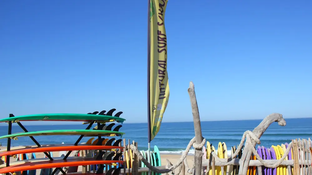 Natural Surf School 2016