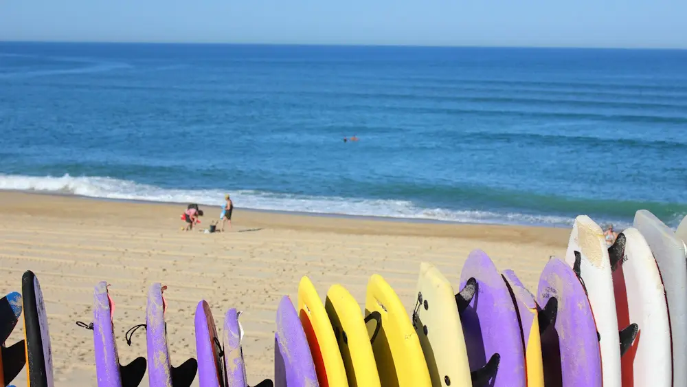 Natural surf lodge aout 2016 ©Seignosse tourisme (14)