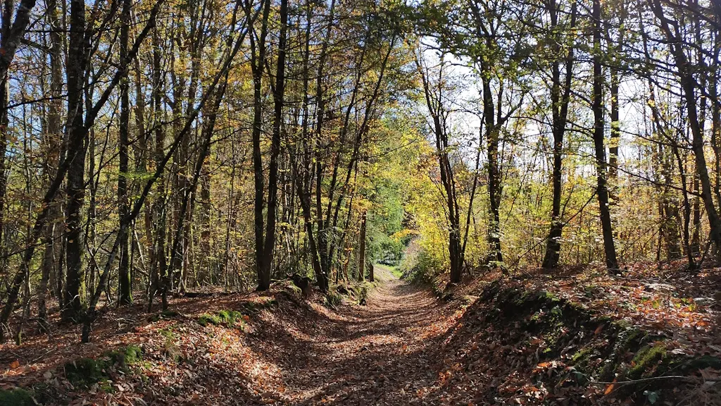 Chemin d'Ayaux à la Veytisou (Neuvic-Entier)