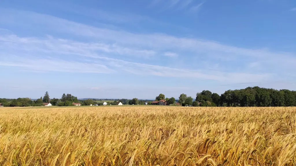 Vue sur la Croix Lattée (Neuvic-Entier)