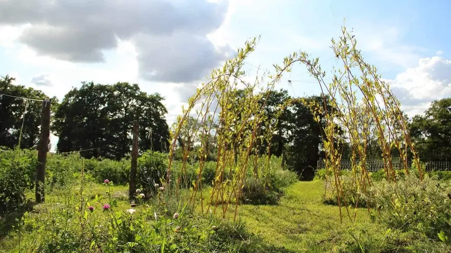 Ô jardin des chênes