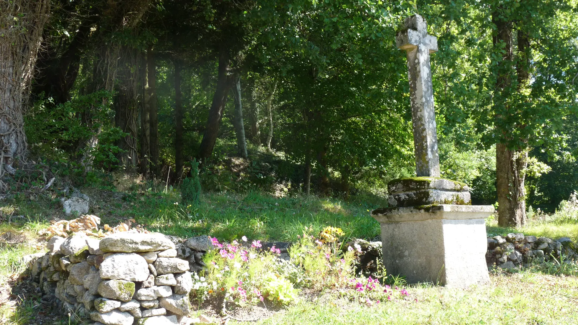P1080668 (4)
