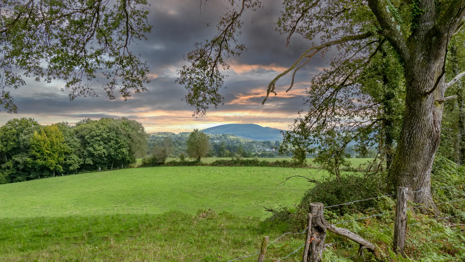 P1091437©OT Tulle en Corrèze