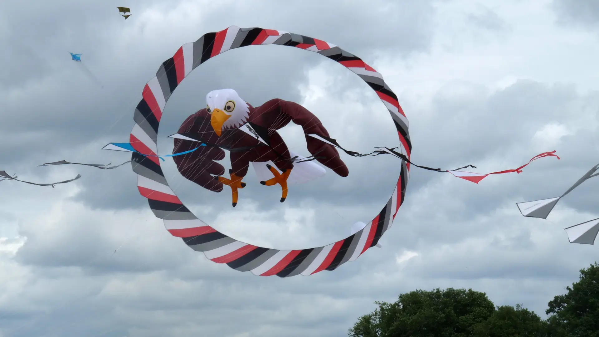 cerf-volant aigle et cv couronne