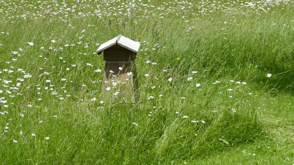 Ruche refuge
