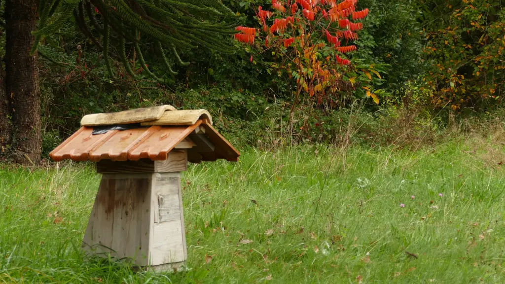 Ruche Refuge