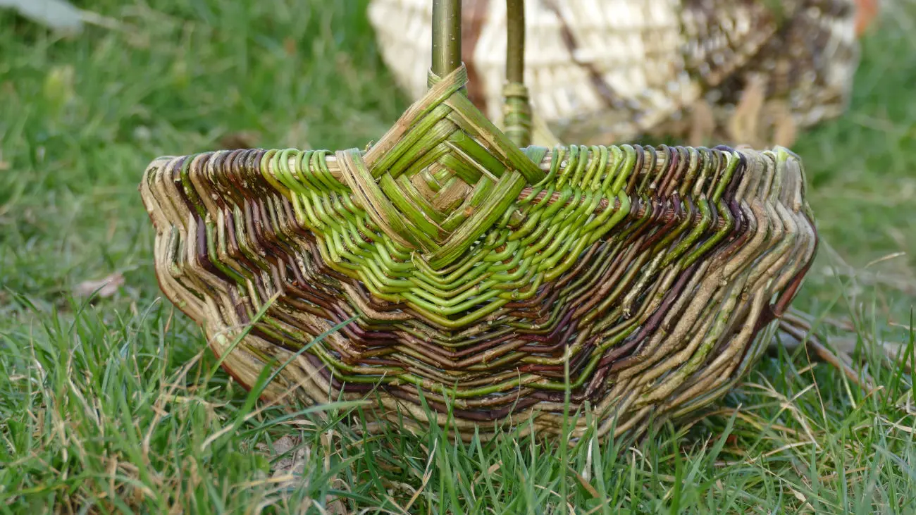 Panier sur arceaux