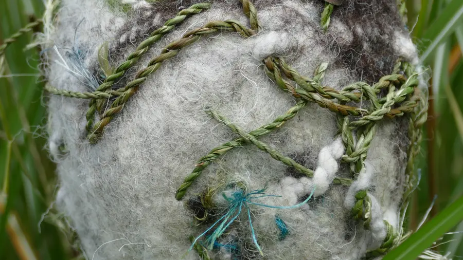 Feutrage et tressage