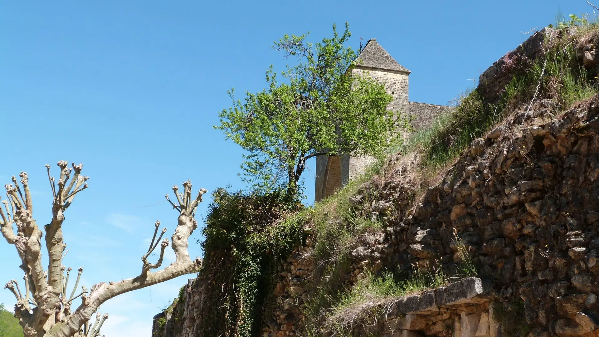 PCU_Saint Amand de Coly_avril 2014©Myriam G (44)